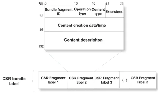 Figure 11. VDTN CSR bundle label is sent in the control channel   attached to the Setup Message