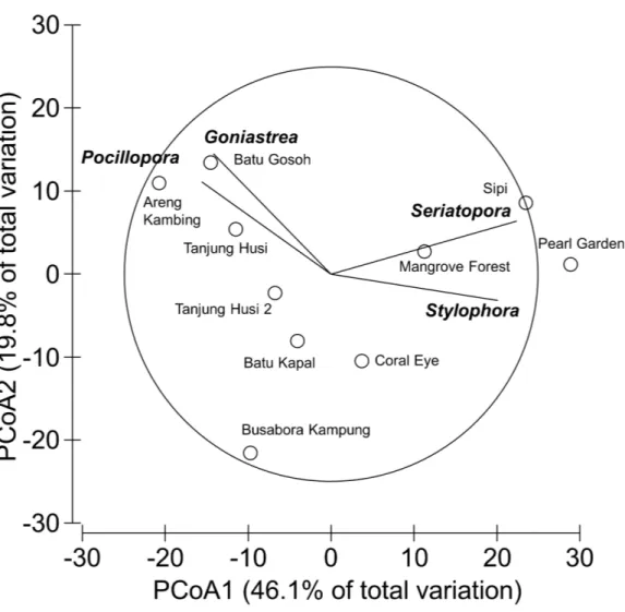 Figure 5 Similarity patterns of hard coral assemblages. The PCoA plot shows the multivariate similar- similar-ity patterns of hard coral assemblages, analysed at the genus level, among study sites