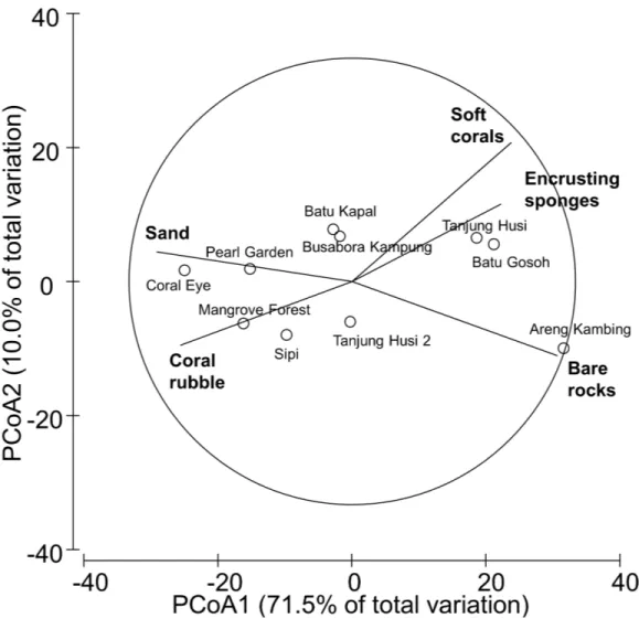Figure 2 Similarity patterns of benthic assemblages. The PCoA plot shows the multivariate similarity patterns of benthic assemblages, analysed in terms of main groups (i.e., algae, encrusting-, massive-, erected- and boring- sponges, hydroids, anemones, so