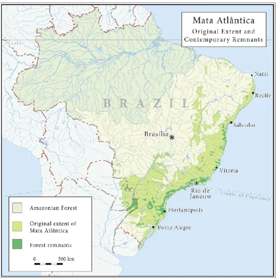 Figura 13 - Vegetação do Brasil original e actual 
