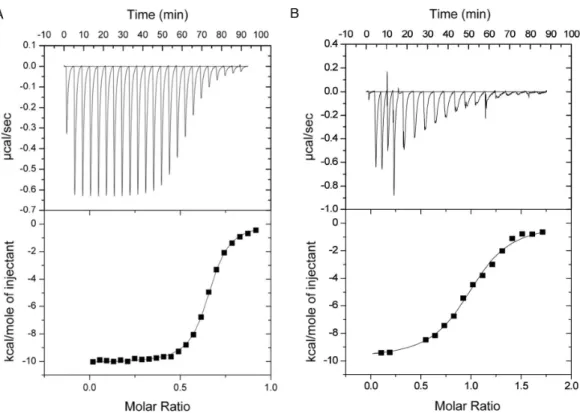 Figure 7 Representative ITC titration of (A) GH9 and CBM3cNL (B) GH9 and CBM3cL. The top panel shows the calorimetric titration and the bottom panel displays the integrated injection heats corrected for control dilution heat