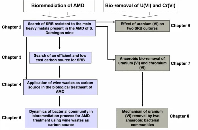 Fig. 1.7 Schematic organization showing the objectives and the respective chapters.  