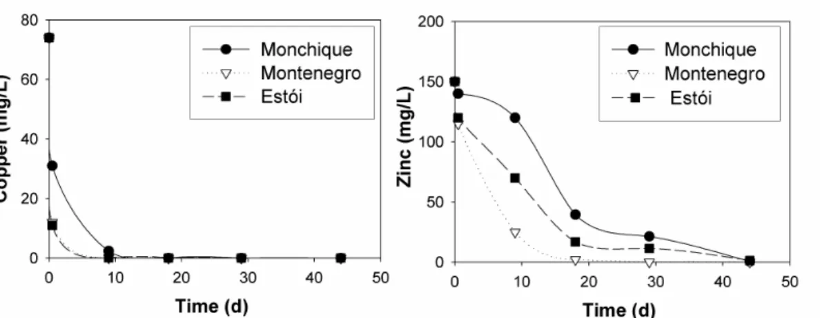 Fig. 2.3 Evolution of copper and zinc concentrations in the media as a function of time
