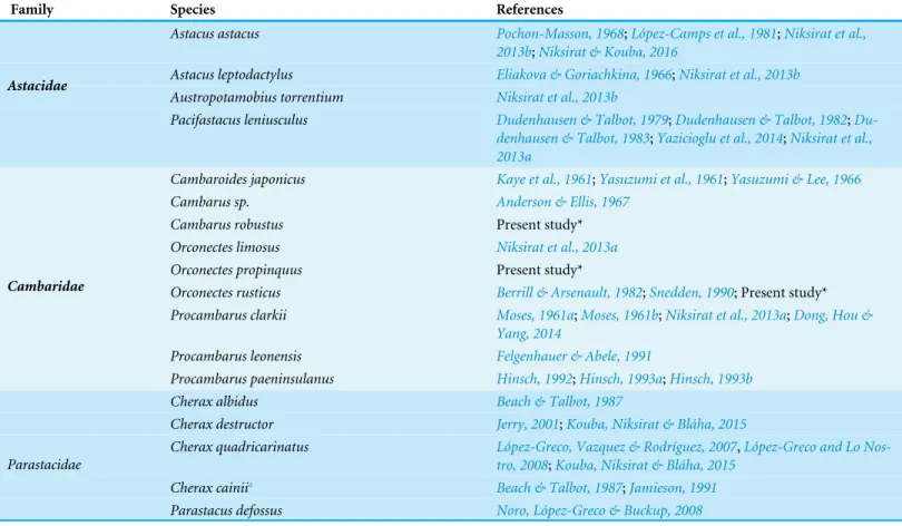 Table 1 Published literature about male gamete morphology in the freshwater crayfish species including four species of Astacidae, nine species of Cambaridae, and five species of Parastacidae.