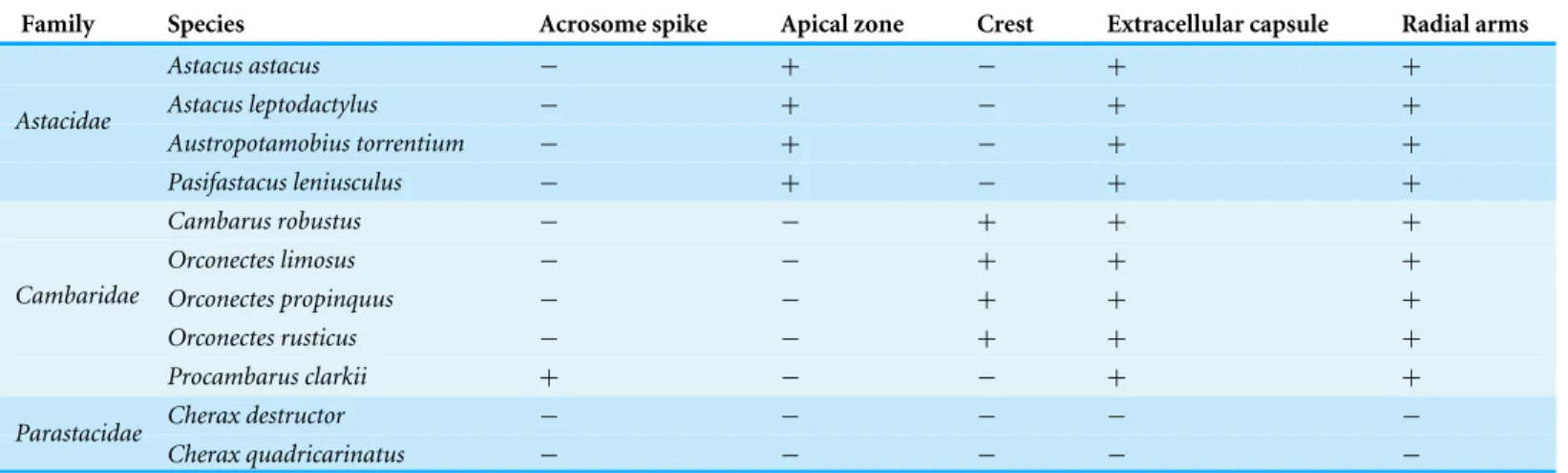 Table 2 Summarizes comparative morphological features among eleven species of the freshwater crayfish.