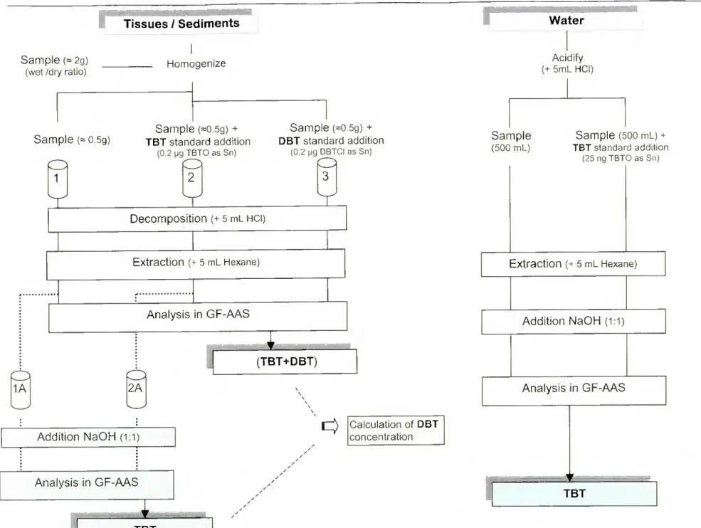 Figure 2.1- Outline of the methods employed to extract and analyse TBT and DBT in tissues, sediments and water samples
