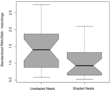 Figure 6. Standardized RNA/DNA ratio (mean ± standard error) for hatchlings from shaded and unshaded nests.