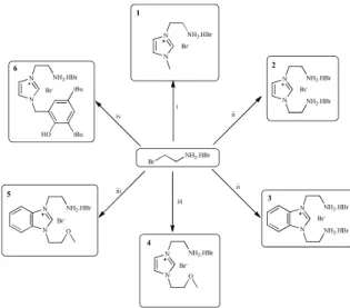 Figure 3.  1 H (a) and  13 C (b) NMR spectrum of IL 1. 