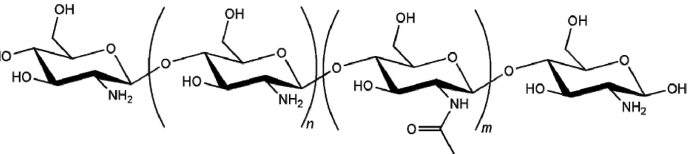 Figure 1. Chitosan structure (n and m assume different ratios) [14].  