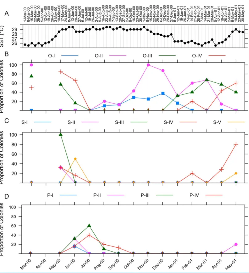 Figure 7 Gametogenic cycle of I. rigida. (A) Sea surface temperature ranges in La Parguera, Puerto Rico