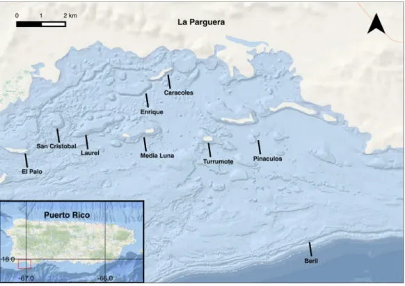 Figure 2 Map of La Parguera, Puerto Rico with study sites. Image made with QGIS using NOAA’s National Centers for Enviromental Information (NCEI) Multibeam Bathymetric Surveys Dataset.