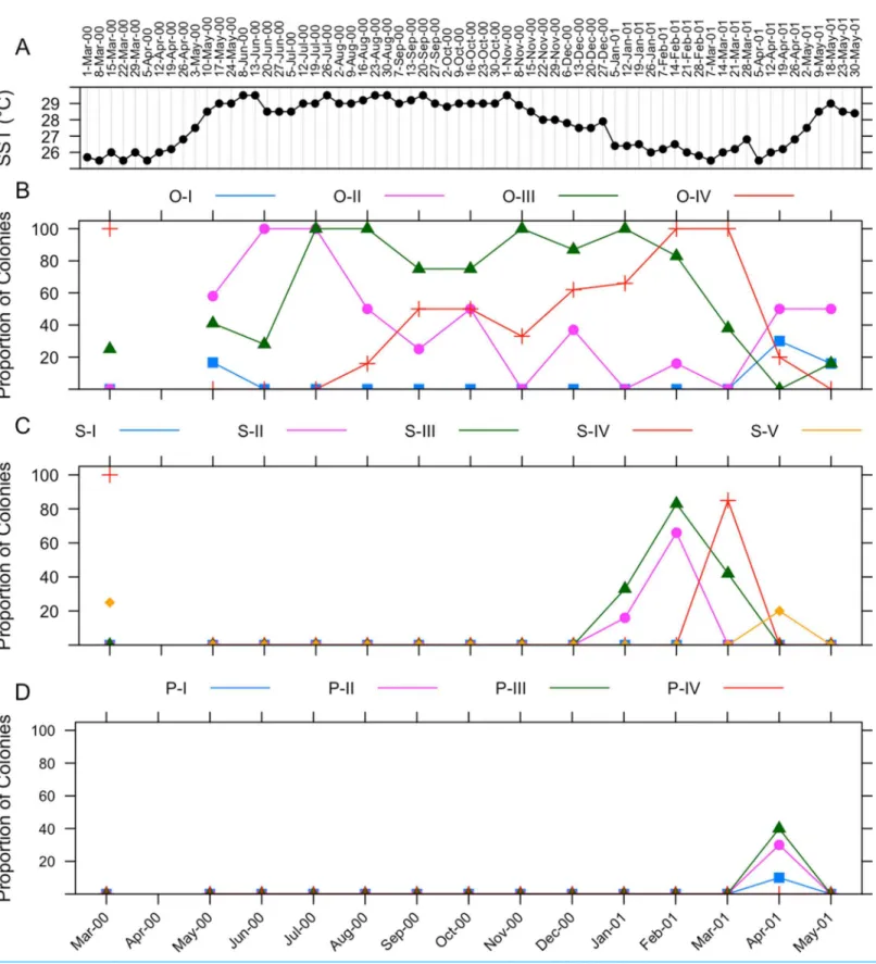 Figure 5 Gametogenic cycle of I. sinuosa. (A) Sea surface temperature ranges in La Parguera, Puerto Rico