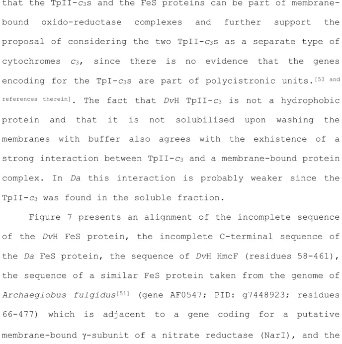 Figure 7 presents an alignment of the incomplete sequence  of  the  DvH  FeS  protein,  the  incomplete  C-terminal  sequence  of  the Da FeS protein, the sequence of DvH HmcF (residues 58-461),  the sequence of a similar FeS protein taken from the genome 