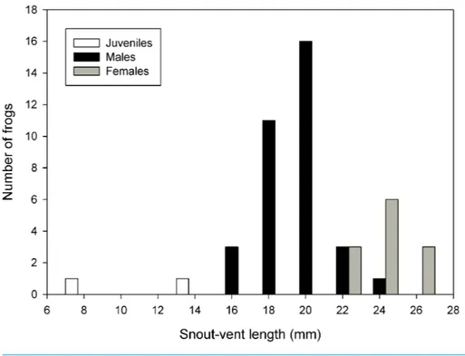 Figure 6 Frequency distribution of snout-vent lengths of Psychrophrynella chirihampatu