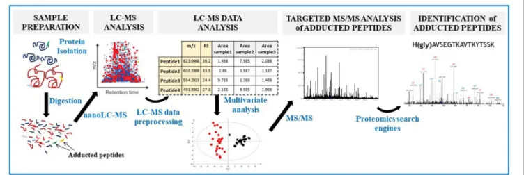 FIGURE 5 | Workflow of our metabolomics-based approach to identify protein covalent modifications