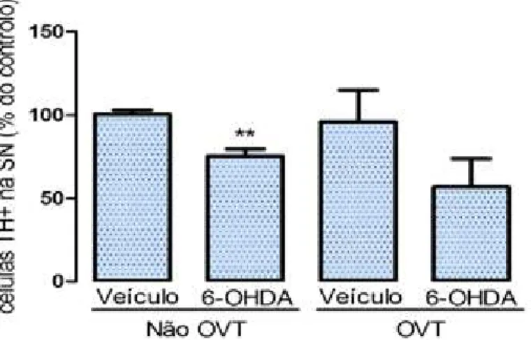 Figura  6.  Efeito  da  ovariectomia  na  lesão  dopaminérgica  induzida  por  6-OHDA
