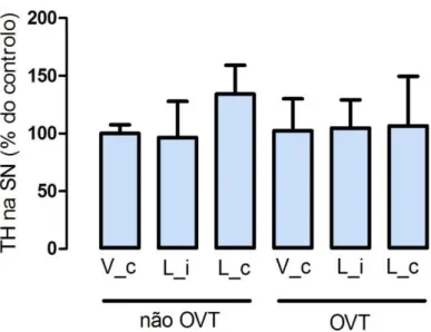 Figura  7.  Efeito  da  ovariectomia  nos  níveis  de  expressão  mesencefálica  de  TH  em  animais  expostos  a  6-OHDA