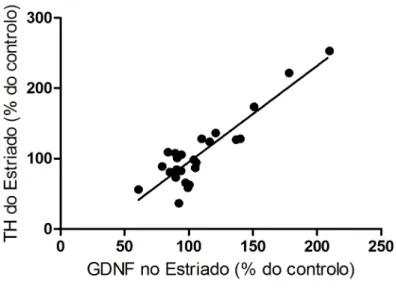 Figura  12.  Correlação  entre  os  níveis  estriatais  de  TH  e  de  GDNF.  Independentemente  da  condição  em  que  o  animal  se  situa  (OVT  ou  não,  injectado  com  solução  veículo  ou  6-OHDA),  verifica-se uma correlação entre os níveis da enzi