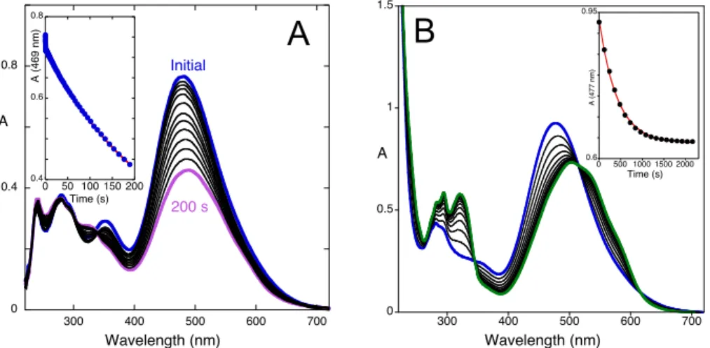 Figure 6. Spectral variations after a pH jump from a solution of compound  1 equilibrated at pH=6.4  (9.0x10 -5  M, water:methanol 1:1 (v/v)) to pH=3.4 followed by: (A) stopped-flow; inset: two processes  were  observed  with  rate  constants  0.9  s -1   