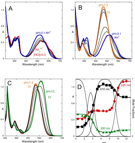 Figure 3. Absorption spectra of equilibrated solutions of compound 1 after direct and reverse pH jumps  from pH=6.5 (neutral trans-chalcone, 1.1x10 -4  M, water:methanol 1:1 (v/v)) to the following pH ranges: 