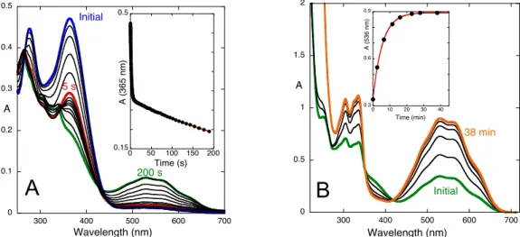Figure 4. Spectral variations upon a pH jump from a solution of compound 1 equilibrated at pH=6.4  (neutral  trans-chalcone,  water:methanol  1:1  (v/v))  to  pH=0.6,  (A)  followed  by  stopped-flow,   [1]=9.0x10 -5  M; inset: fitting was achieved with a 