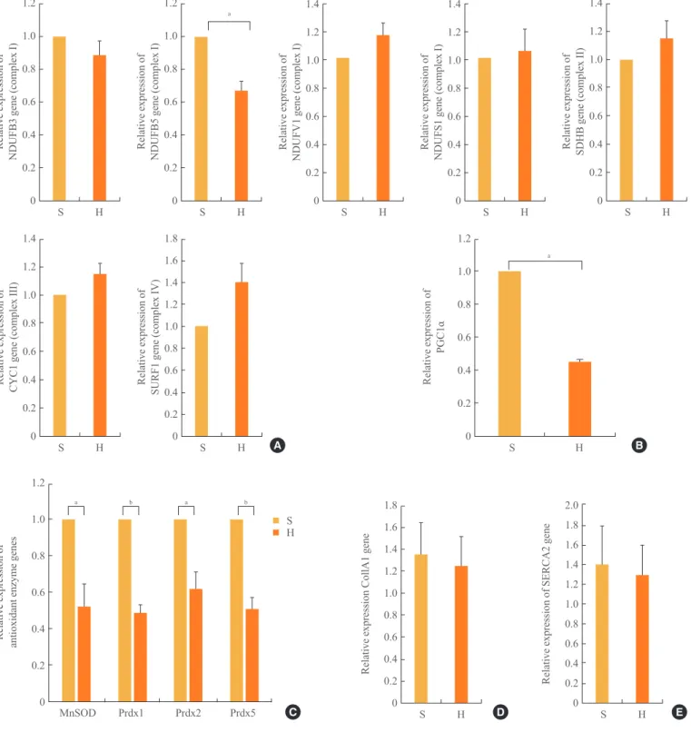 Fig. 3. The mRNA expression levels of a subset of oxidative phosphorylation (OXPHOS) subunits (A), PGC1α (B), antioxidant enzymes  (C), Col1A1 (D), and SERCA2 (E) in the myocardia in the standard diet and high-fat diet groups
