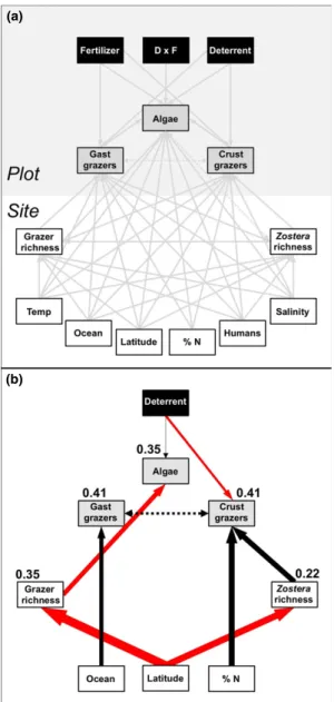 Figure 2 Path analysis of combined experimental and regional controls on grazer and algal biomass across the range of eelgrass