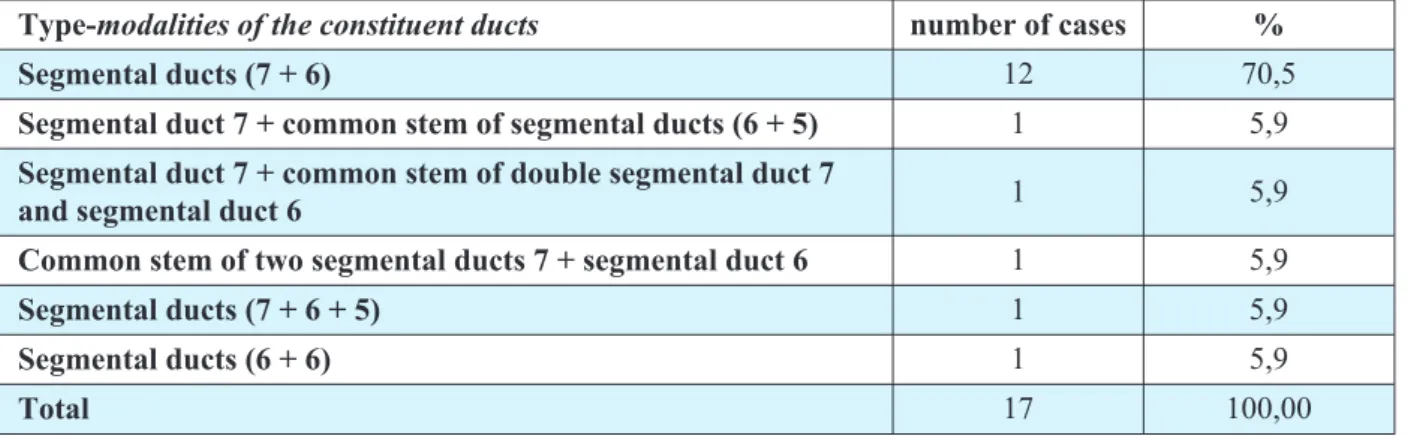 Table 1. Merging pattern of posterior sector duct