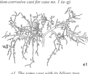 Figure 1. Figures and hand drawings of injection-corrosive cast for case no. 1 (a–g)