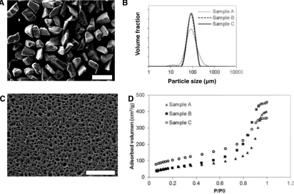 Figure 1 Morphological and physicochemical properties of mesoporous silicon microparticles (MS- (MS-MPs)