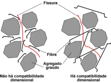 Figura 2.13 - Probabilidade de intercepção da fissura em função da compatibilidade  dimensional entre fibra e agregado grosso (Barros, 2009) 