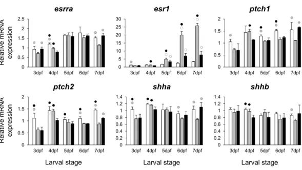 Figure 2 Expression differences of two estrogen receptors and components of hedgehog signaling pathway in developing heads of zebrafish larvae across control and E 2 treated groups