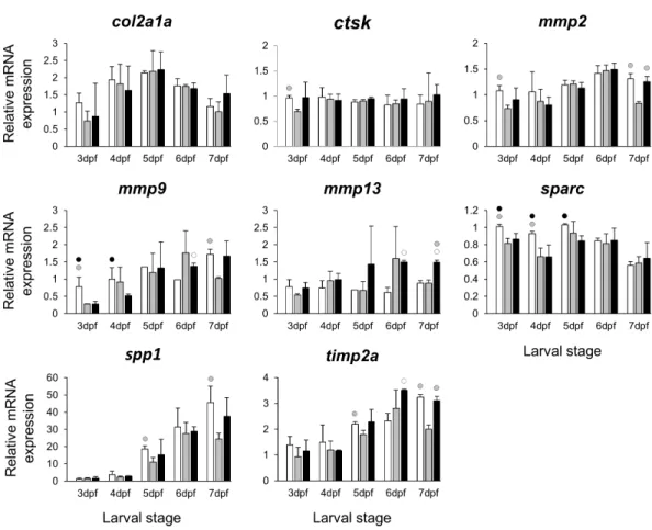 Figure 4 Expression differences of eight potential targets of estrogen pathway involved in skeletal ECM formation examined during zebrafish larval head development across control and E 2 treated groups