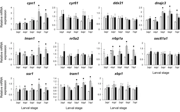 Figure 6 Expression differences of esr1 coexpressed genes in developing heads of zebrafish larvae across control and E 2 treated groups