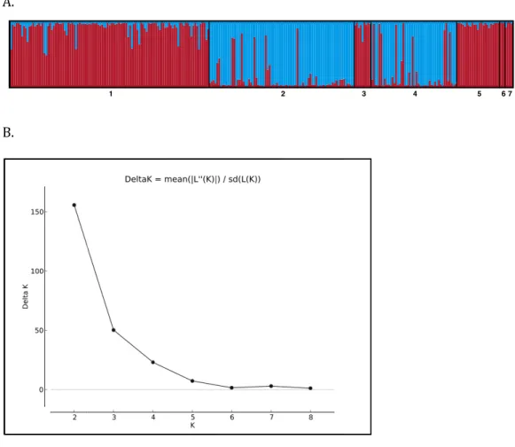 Figure 4 (A) STRUCTURE barplot (k = 2) using 8 microsatellite loci for the Allen Cays Rock Iguana (Cyclura cychlura inornata)