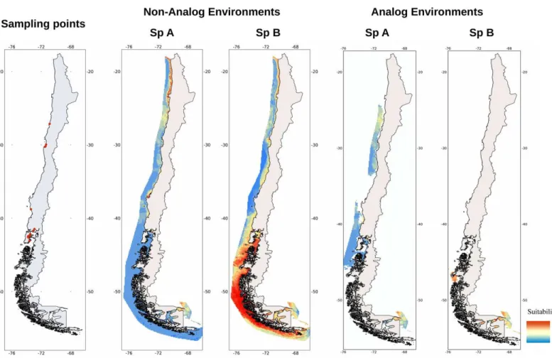 Figure 2 Sampling points and projections of the potential distribution of C. intestinalis sp A and sp B on Chilean coast