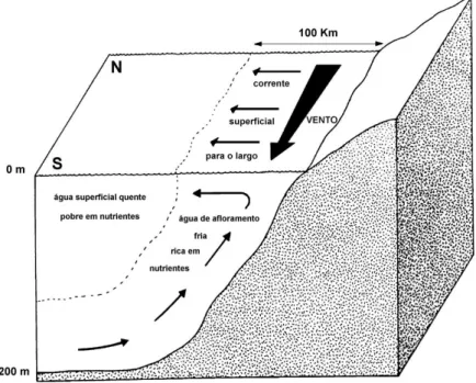 Figura  1.2  -  Representação  esquemática  do  fenómeno  de  afloramento  costeiro  (adaptado  de  Meadows &amp; Campbell, 1988) 