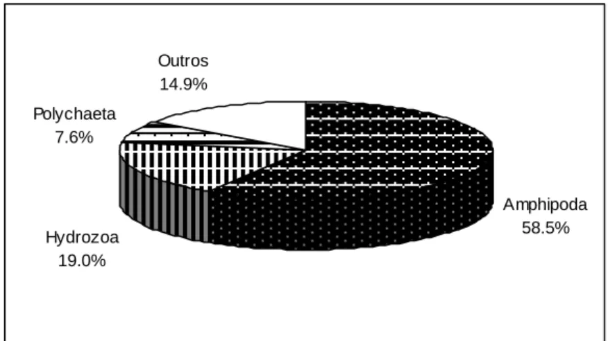 Figura 3.6 - Importância relativa em número dos vários grupos taxonómicos na dieta alimentar de  Spondyliosoma cantharus 