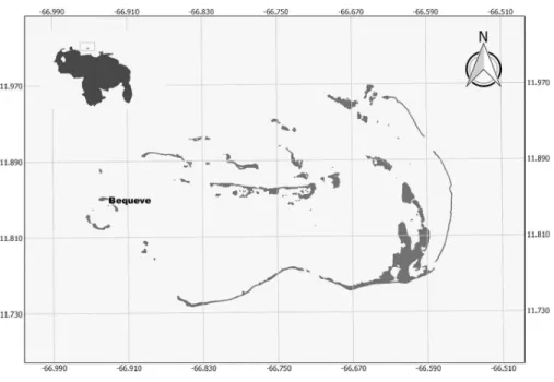 Figure 1 Study site map. Map of the Archipielago de Los Roques National Park, with the study site.