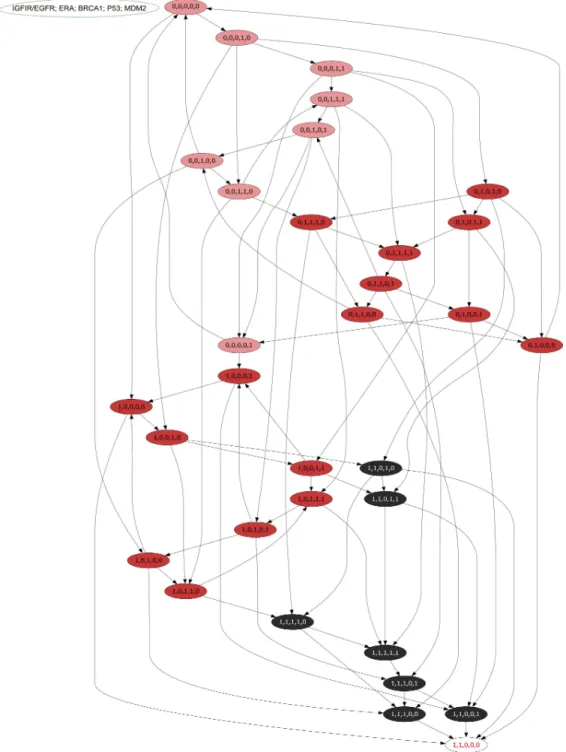 Figure 6 An asynchronous state graph of the ER- α associated BRN. The asynchronous state graph is generated by using the tool GENOTECH, utilizing the SMBioNet generated logical parameters