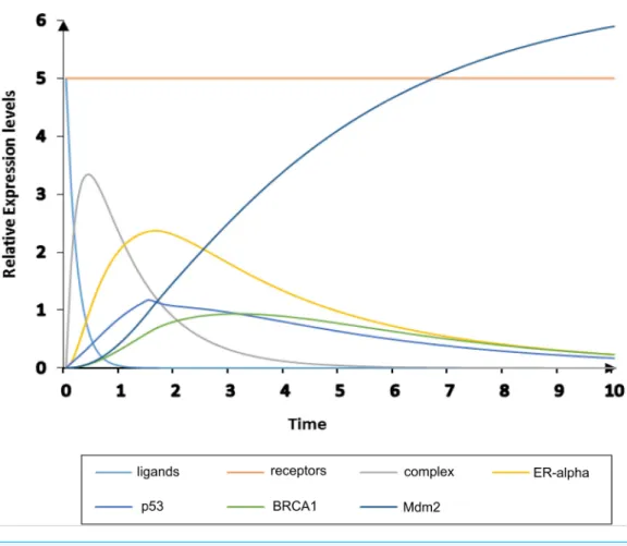 Figure 8 Simulation of homeostatic HPN model. The simulated graph shows time on X-axis and rela- rela-tive expression levels of entities on Y -axis