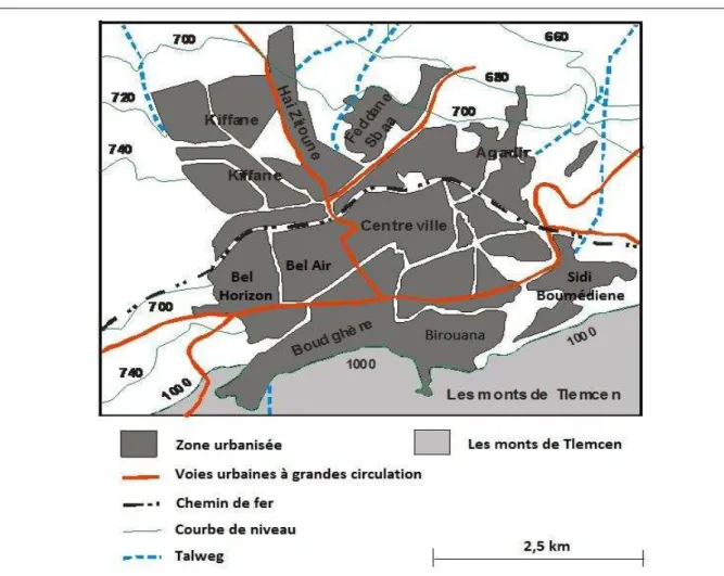 Fig. 7. Plan de la ville de Tlemcen et ses extensions.