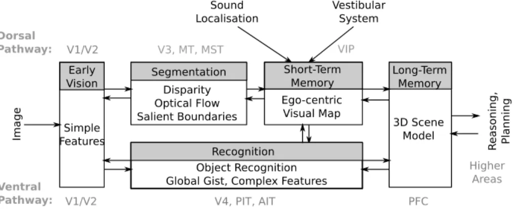 Figure 1 gives an overview of our system, which is a simpliﬁed model of the mammalian brain (for an excellent overview of diﬀerent visual processing  path-ways we refer to [28])