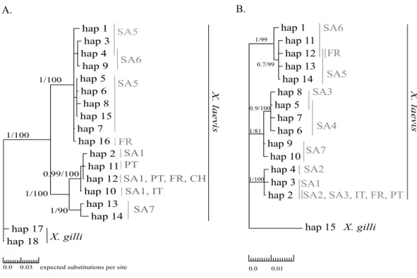Figure 2 MP and BI inference based on Cytb (A) and 16S alignments (B). Bayesian consensus trees are visualized with Posterior BI bootstrap (B &gt; 0 