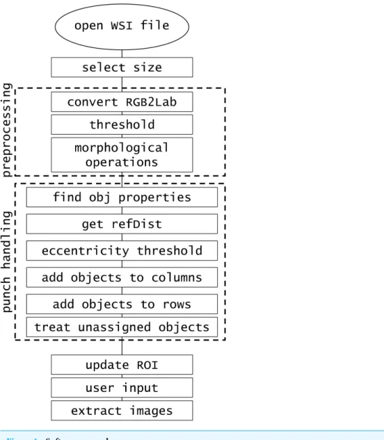 Figure 1 Software procedure.