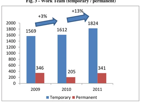 Fig. 3 - Work Team (temporary / permanent) 