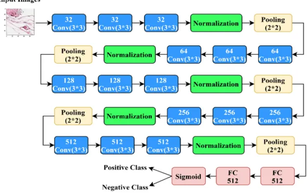 Figure 1. A schematic diagram of the proposed network architecture. 