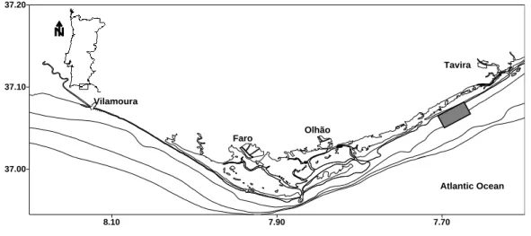 Figure 3.8 Location on the Algarve coast where Spisula solida were collected. 