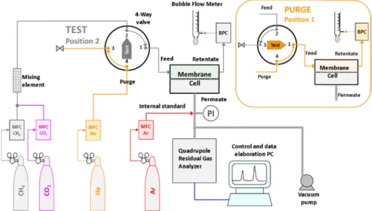 Fig. 3. Scheme of the mixed gas permeation setup with quadrupole MS-RGA optimized for vacuum operation at the permeate side of the membrane in test mode and during purge with helium (Insert).