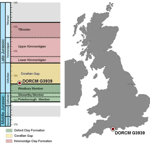 Figure 1 Stratigraphic chart and map. Middle-Late Jurassic stratigraphic chart and map of the UK